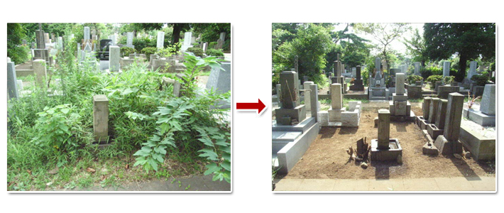 墓石管理 掃除前後